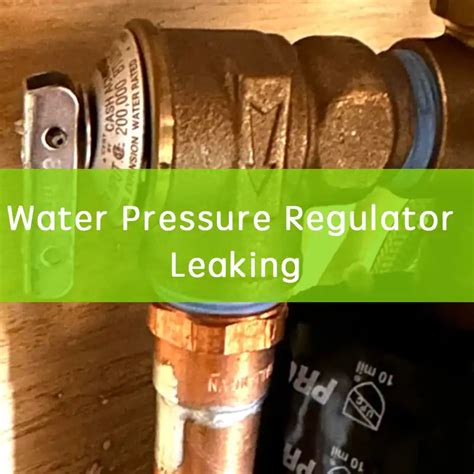 water pressure regulator leaking|4 Signs It’s Time to Replace Your Pressure Regulator